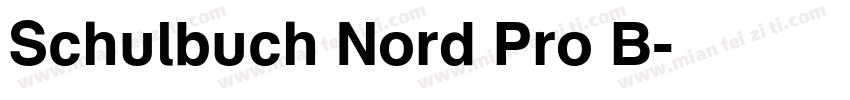 Schulbuch Nord Pro B字体转换